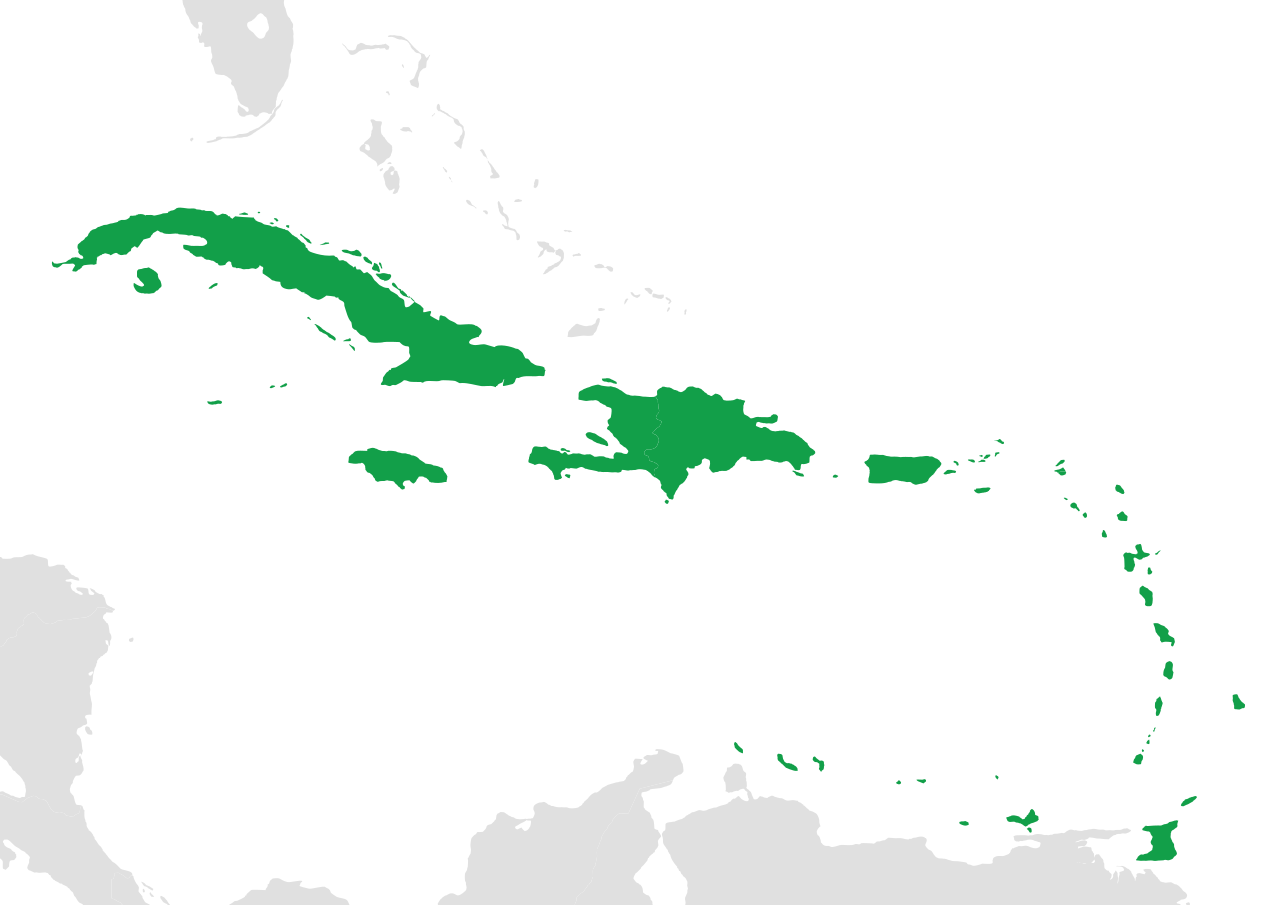 Greater Antilles